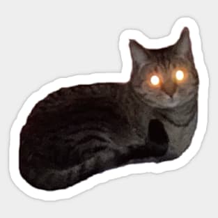 Tiny Laser Cat Sticker